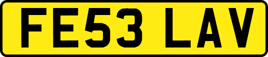 FE53LAV