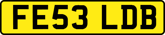 FE53LDB