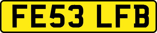 FE53LFB