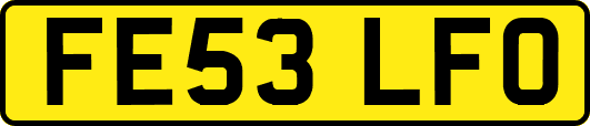 FE53LFO