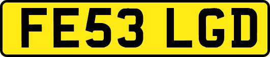 FE53LGD