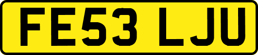 FE53LJU