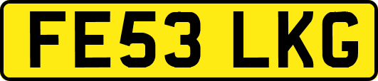 FE53LKG