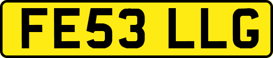 FE53LLG