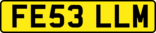 FE53LLM