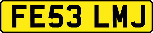 FE53LMJ
