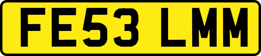 FE53LMM