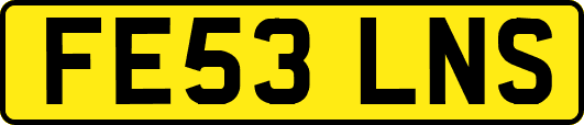 FE53LNS