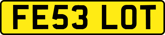 FE53LOT
