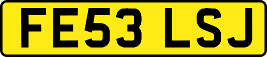 FE53LSJ