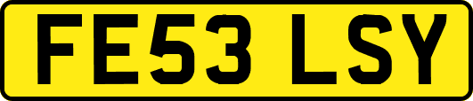 FE53LSY