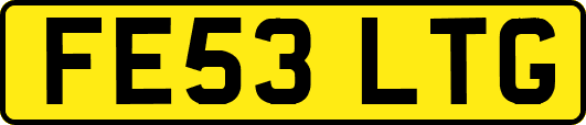 FE53LTG