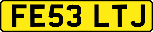 FE53LTJ