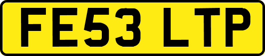 FE53LTP