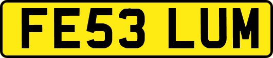 FE53LUM