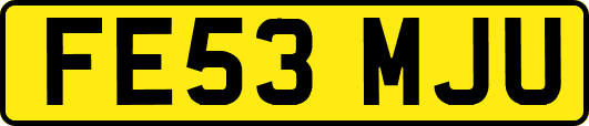 FE53MJU