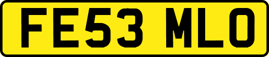 FE53MLO
