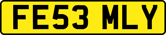 FE53MLY
