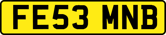 FE53MNB