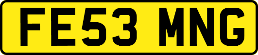 FE53MNG