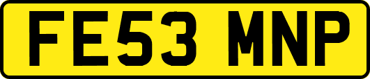 FE53MNP
