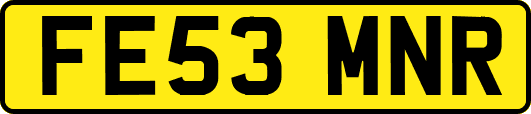 FE53MNR