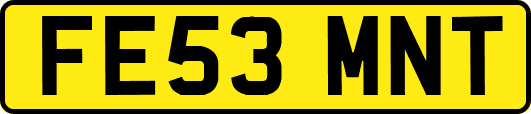 FE53MNT