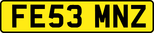 FE53MNZ