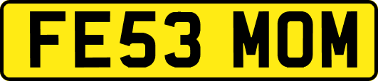 FE53MOM