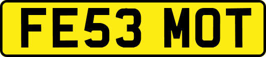 FE53MOT