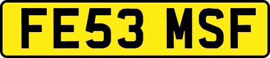 FE53MSF