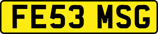 FE53MSG