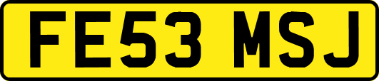 FE53MSJ