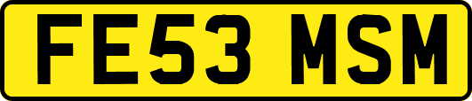 FE53MSM