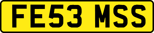 FE53MSS