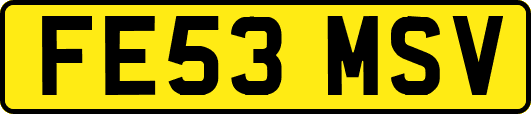 FE53MSV