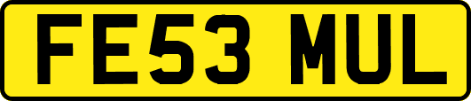 FE53MUL
