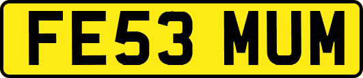 FE53MUM