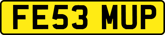 FE53MUP