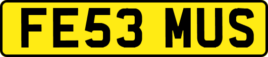 FE53MUS