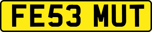 FE53MUT