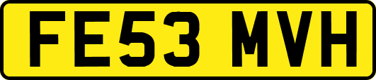 FE53MVH