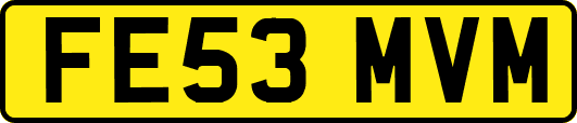 FE53MVM
