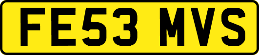 FE53MVS