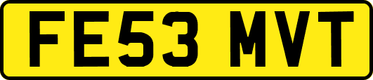 FE53MVT