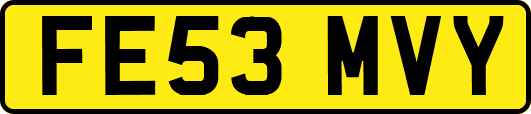 FE53MVY