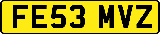 FE53MVZ