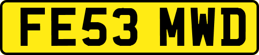 FE53MWD