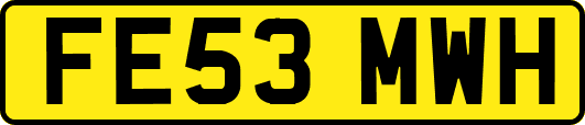 FE53MWH