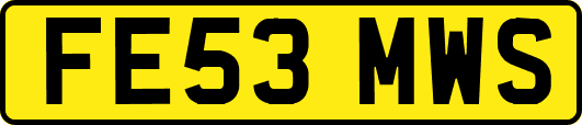 FE53MWS